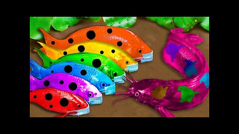 Top Crocodiles Hunt Colorful Koi, Catfish Primitive Cooking Eels - Stop Motion ASMR CoCo