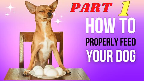 Easy Ways You Can Turn HOW TO MAKE A DOG FOOD Into Success