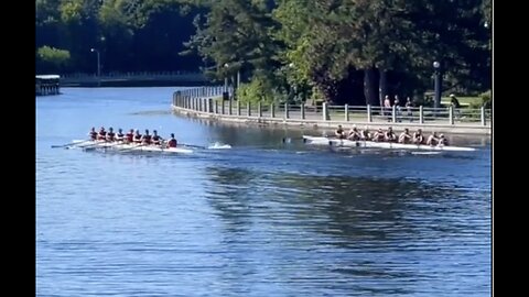 Row! Row! Row! On the Rideau!