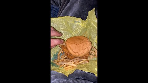 McDonald’s I made a new sandwich the Mc French fry 😂 #fyp #viral #mcdonalds #fypシ #fastfood