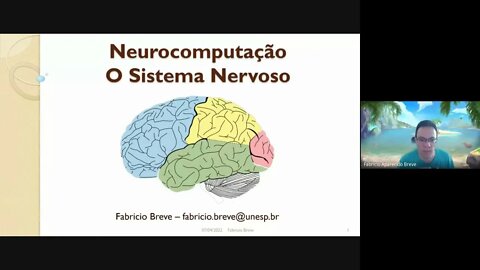 05 - Neurocomputação: O Sistema Nervoso - Computação Inspirada pela Natureza (versão Meet)