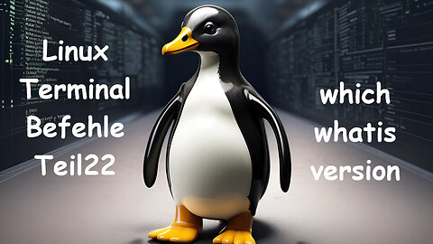 Linux Terminal Kurs 22 - which/whatis/version