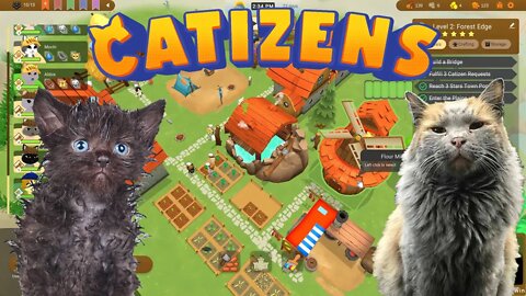 Catizens - Swamp Cats Woo Hoo (Cat Life Sim/City Builder)