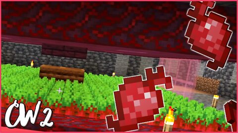 Ceyla's World 2: 2 | Most romantic vegetable in Minecraft 1.18?