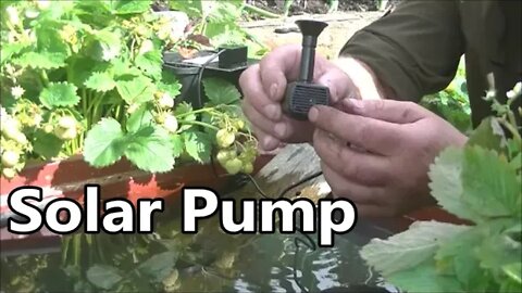 Small Solar Power Water Pump Review