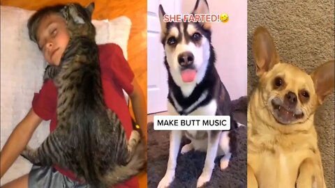 Funny animal 2024 videos with music