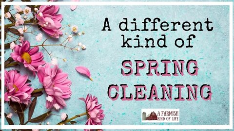 A Different Kind of Spring Cleaning: Itty Bitty Thoughts 3/21