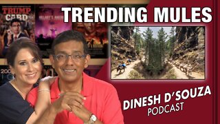 TRENDING MULES Dinesh D’Souza Podcast Ep326