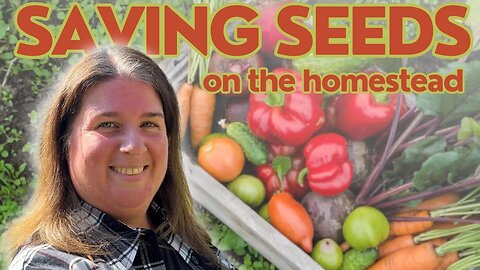 Saving Seeds On Your Homestead: Never Buy Seeds Again! #seedsaving