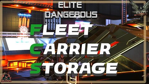 Elite Dangerous Store Cargo at your Fleet Carrier | Elite Dangerous beginners guide