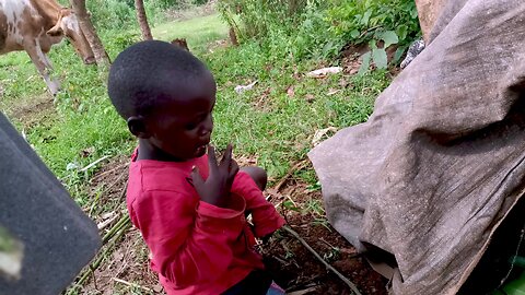 Ingenious Way Of Catching Termites For Food In Kenya