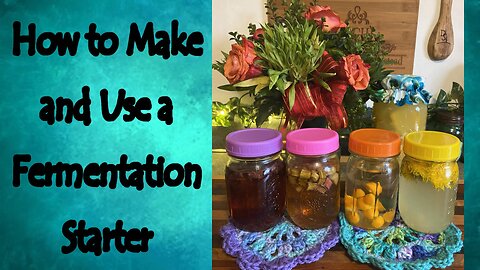 How to Make and Use a Fermentation Starter