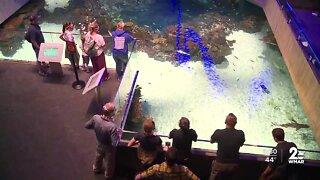 National Aquarium to require proof of vaccination prior to entry