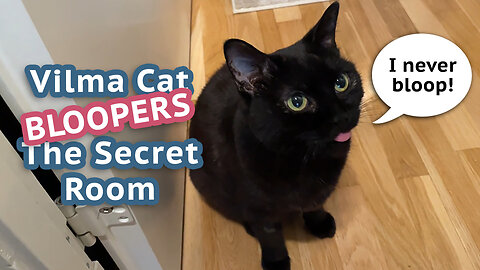 Vilma Cat and The Secret Room - Bloopers