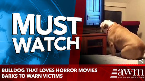 Bulldog that LOVES horror movies barks to warn victims