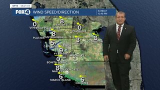 FORECAST: Sea breeze will likely spark t-storms Monday afternoon