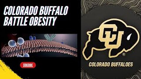 Colorado Buffalo Stamp Out Obesity || CU Researchers Discover New Obesity Treatment