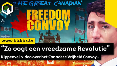 'Zo oogt een vreedzame revolutie', Kippenvelvideo over het Canadese Freedom Convoy...