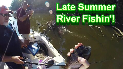 Late Summer Bream Fishing on the River! 8-04-2022