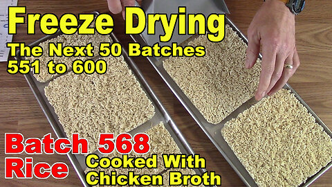 Freeze Drying - The Next 50 Batches - Batch 568 - Rice Cooked with Chicken Broth