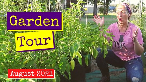 Garden Tour August 2021 | Preparing For Fall