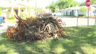 Neighbors in Seminole Heights frustrated with storm debris collections