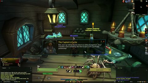 World of Warcraft MMORPG The Captain's Cache