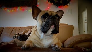 Mommy is baking Christmas cookies.