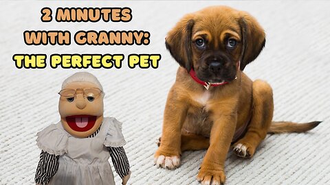 2 Minutes with Granny: The Perfect Pet