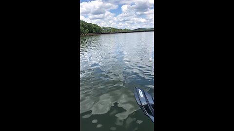 Leesville Lake kayaking