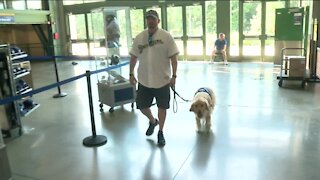 Brewers help donate service dog to Army veteran with PTSD