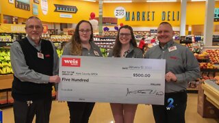 Weis Markets - Paws for Pets 2023