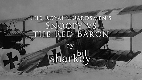 Snoopy vs the Red Baron - Royal Guardsmen, The (cover-live by Bill Sharkey)