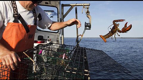 Maine Lobstermen Get a Big Win Over Biden; Admin's Hypocrisy Faces Big Questions and Investigation