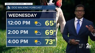 WMAR-2 News Patrick Pete's Tuesday night forecast