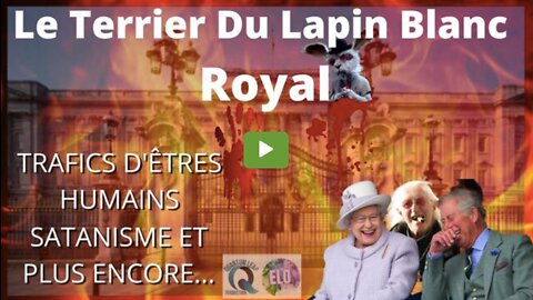 LE TERRIER DU LAPIN BLANC ROYAL