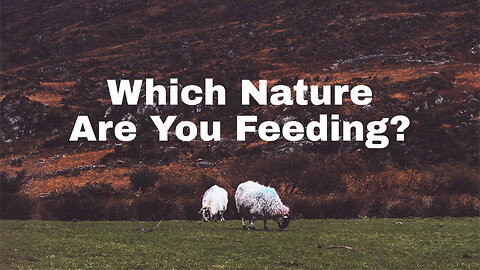 "Which Nature Are You Feeding?" - Worship Service - August 27, 2023