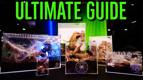 Ultimate Guide to Tarantula Enclosure Setups!