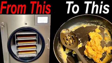 How To Make Eggs Last 25 Years | Grid Down Series EP1