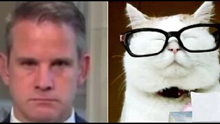 Cat Turd Bouts with Adam Kinzinger