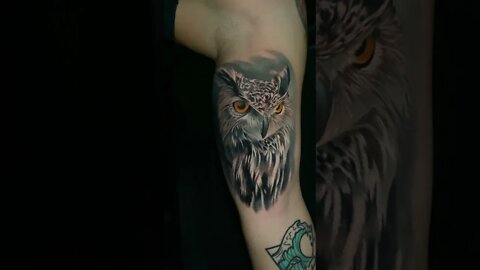 The Most Eye Catching Owl Arm Tattoo