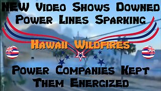 NEW: Video Shows Downed Power Lines Sparking Hawaii Wildfires - Power Companies Kept Them Energized!