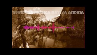 🎼 Hermosa música nativa andina.