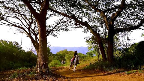 The only vineyard horse trail riding in Thailand at PB Valley, Khao Yai by Farm Mor Por