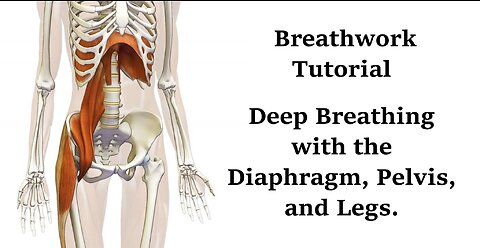 Breathing Tutorial with the Pelvis, Diaphragm, and Legs