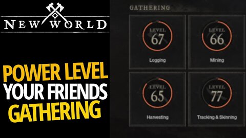 Group Gathering (Power Level Gathering) - New World