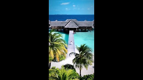 Top 5 Hotels in the Maldives #travel #viral #shorrs