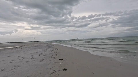 North Beach Adventure at Fort De Soto Beach (Tierra Verde, Florida)