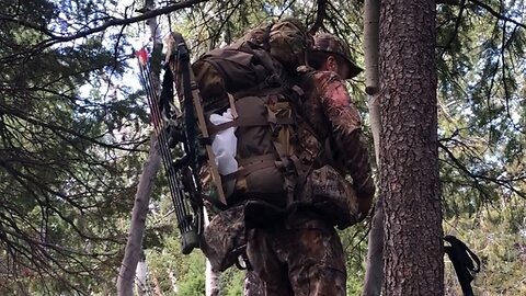Eberlestock EMOD pack system - An average guy's review