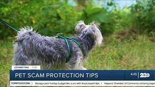 Tips on how to avoid a puppy scam